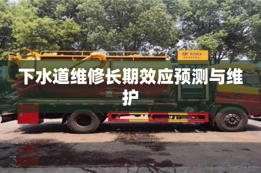 下水道維修長期效應預測與維護 下水道維修長期效應預測與維護