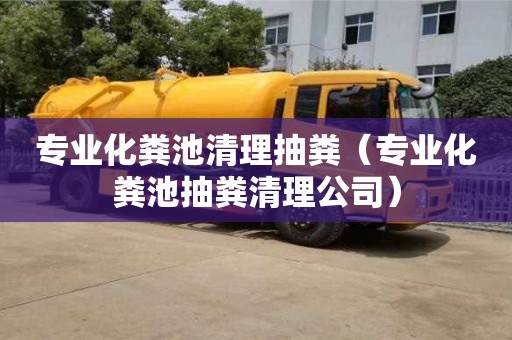 北京專業化糞池清理抽糞（專業化糞池抽糞清理公司）