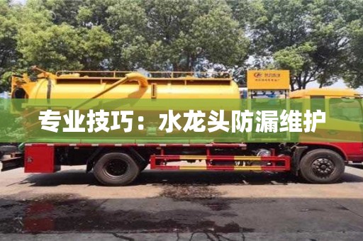 北京專業技巧：水龍頭防漏維護
