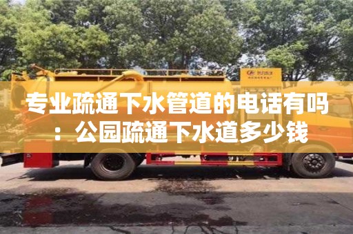專業(yè)疏通下水管道的電話有嗎 ：公園疏通下水道多少錢(qián)