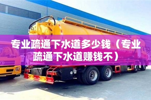 北京專業疏通下水道多少錢（專業疏通下水道賺錢不）