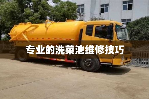 北京專業的洗菜池維修技巧