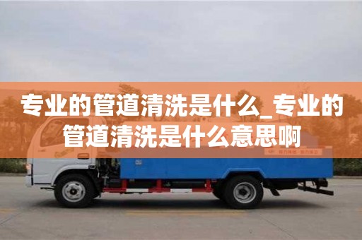 專業的管道清洗是什么_專業的管道清洗是什么意思啊