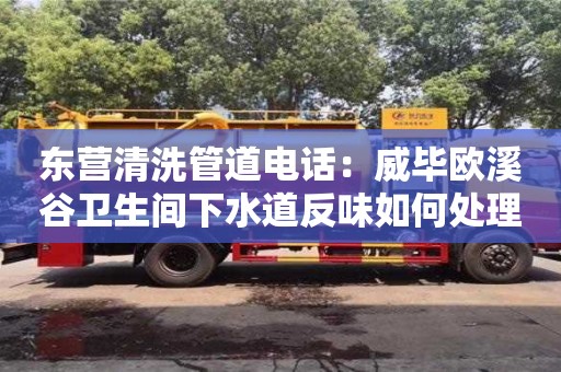 東營清洗管道電話：威畢歐溪谷衛生間下水道反味如何處理
