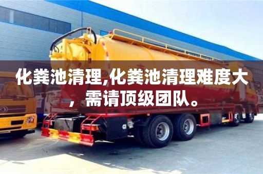 化糞池清理,化糞池清理難度大，需請頂級團隊。