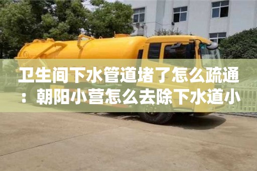 衛生間下水管道堵了怎么疏通：朝陽小營怎么去除下水道小紅蟲
