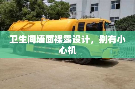 北京衛生間墻面裸露設計，別有小心機