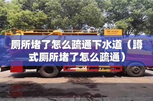 廁所堵了怎么疏通下水道（蹲式廁所堵了怎么疏通）