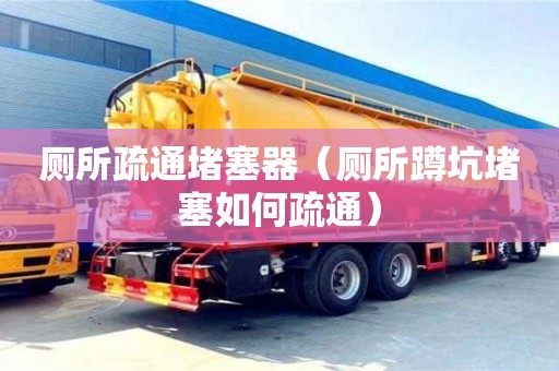 廁所疏通堵塞器（廁所蹲坑堵塞如何疏通）