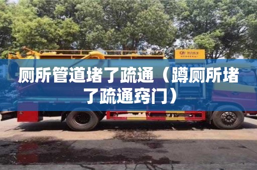 廁所管道堵了疏通（蹲廁所堵了疏通竅門）