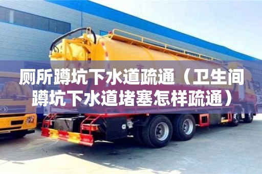 廁所蹲坑下水道疏通（衛生間蹲坑下水道堵塞怎樣疏通）