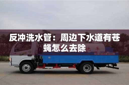 北京反沖洗水管：周邊下水道有蒼蠅怎么去除