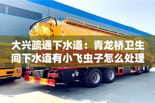 大興疏通下水道：青龍橋衛(wèi)生間下水道有小飛蟲子怎么處理