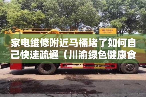 家電維修附近馬桶堵了如何自己快速疏通（川渝綠色健康食品榮縣產業園）
