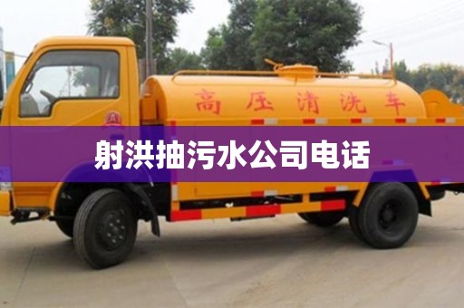 北京射洪抽污水公司電話