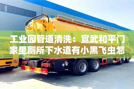 北京工業園管道清洗：宣武和平門家里廁所下水道有小黑飛蟲怎么處理