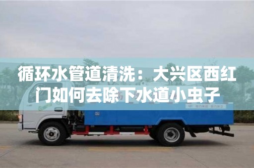 循環(huán)水管道清洗：大興區(qū)西紅門如何去除下水道小蟲子
