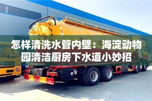 怎樣清洗水管內壁：海淀動物園清潔廚房下水道小妙招