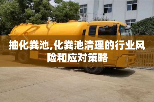 抽化糞池,化糞池清理的行業(yè)風(fēng)險(xiǎn)和應(yīng)對(duì)策略