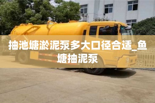 抽池塘淤泥泵多大口徑合適_魚塘抽泥泵