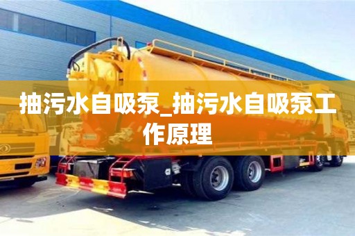 抽污水自吸泵_抽污水自吸泵工作原理