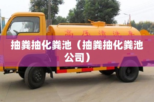 北京抽糞抽化糞池（抽糞抽化糞池公司）