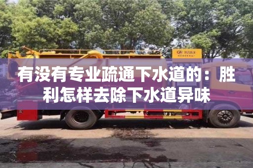 北京有沒有專業疏通下水道的：勝利怎樣去除下水道異味