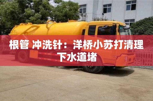 北京根管 沖洗針：洋橋小蘇打清理下水道堵