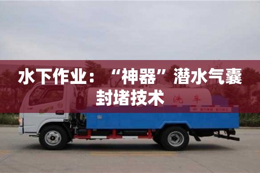 北京水下作業：“神器”潛水氣囊封堵技術