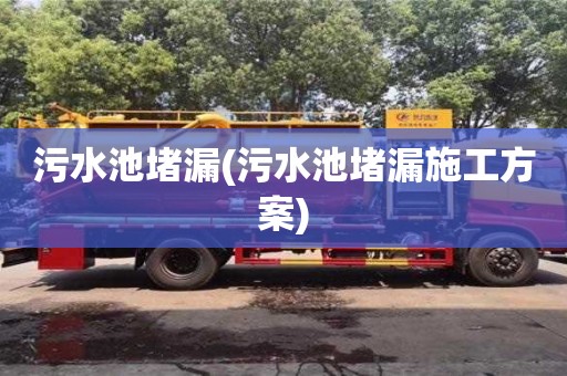 污水池堵漏(污水池堵漏施工方案)