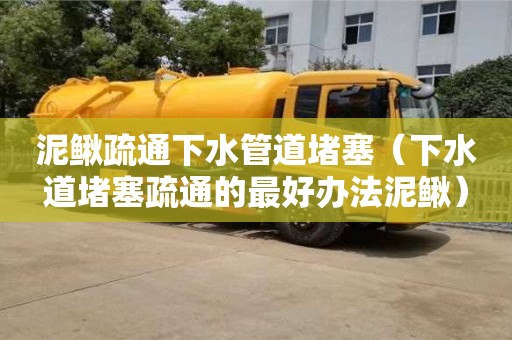 泥鰍疏通下水管道堵塞（下水道堵塞疏通的最好辦法泥鰍）