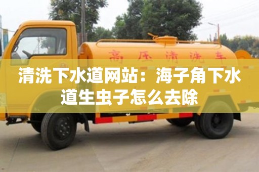 清洗下水道網(wǎng)站：海子角下水道生蟲子怎么去除