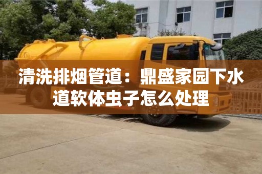 北京清洗排煙管道：鼎盛家園下水道軟體蟲子怎么處理