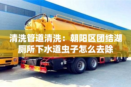 北京清洗管道清洗：朝陽區團結湖廁所下水道蟲子怎么去除