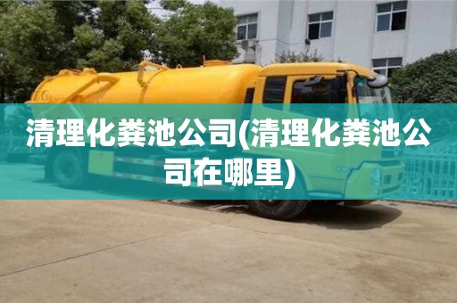 清理化糞池公司(清理化糞池公司在哪里)