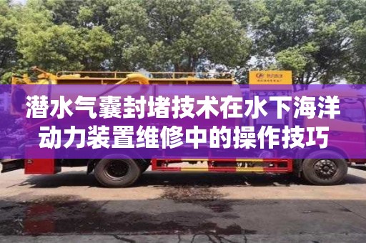 北京潛水氣囊封堵技術在水下海洋動力裝置維修中的操作技巧