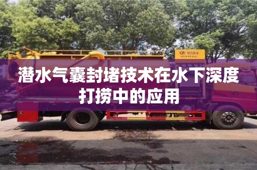 北京潛水氣囊封堵技術(shù)在水下深度打撈中的應(yīng)用