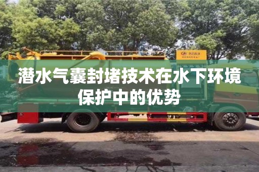 潛水氣囊封堵技術(shù)在水下環(huán)境保護(hù)中的優(yōu)勢(shì)