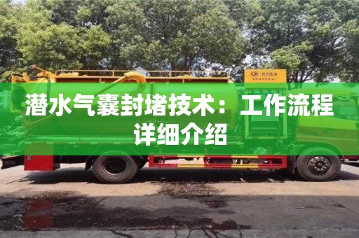 北京潛水氣囊封堵技術：工作流程詳細介紹