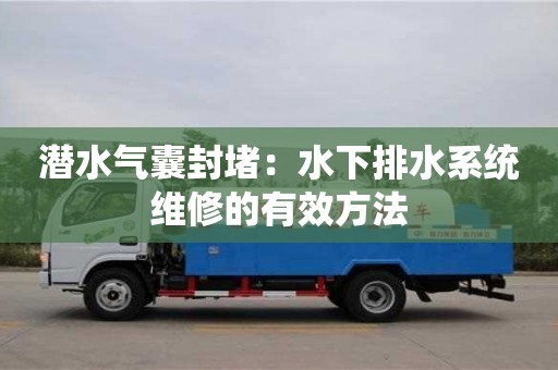 北京潛水氣囊封堵：水下排水系統(tǒng)維修的有效方法