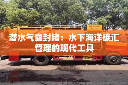 潛水氣囊封堵：水下海洋碳匯管理的現代工具