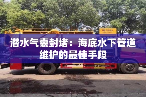 北京潛水氣囊封堵：海底水下管道維護(hù)的最佳手段