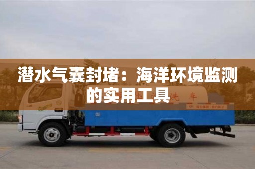 北京潛水氣囊封堵：海洋環境監測的實用工具
