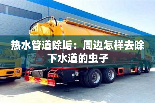 北京熱水管道除垢：周邊怎樣去除下水道的蟲子