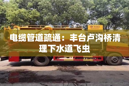 電纜管道疏通：豐臺盧溝橋清理下水道飛蟲