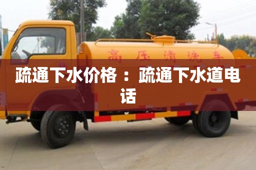 疏通下水價格 ：疏通下水道電話