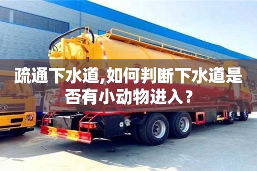 北京疏通下水道,如何判斷下水道是否有小動物進入？