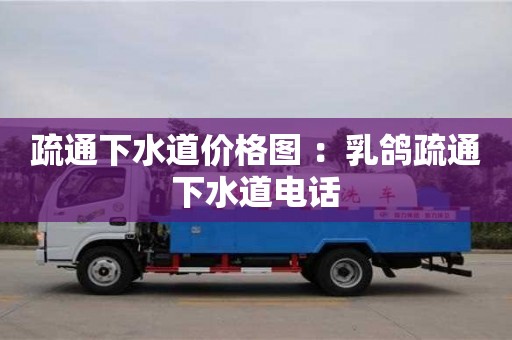 疏通下水道價格圖 ：乳鴿疏通下水道電話