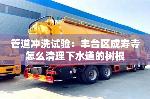北京管道沖洗試驗(yàn)：豐臺(tái)區(qū)成壽寺怎么清理下水道的樹(shù)根