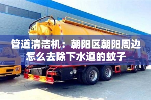 北京管道清潔機：朝陽區朝陽周邊怎么去除下水道的蚊子